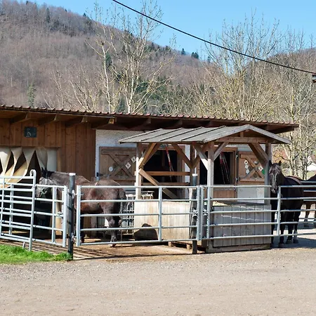 Albpartments Messstetten