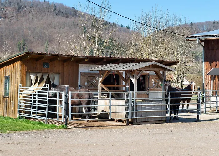 Albpartments Messstetten